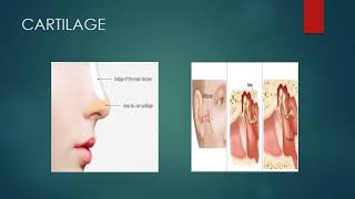 CLASS 5 SCIENCE CH-6 BONES,JOINTS AND MUSCLES PART 4