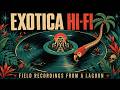 EXOTICA HI-FI - Modern Exotica House | FOR TIKI BAR & Rooftop Cocktails