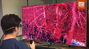 GeoMat VR - Forest Terrestrial Lidar