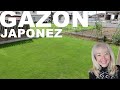 Japonia - Gradina mea cu iarba gazon | 芝生の手入れ