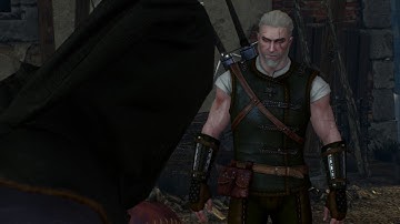 The Witcher 3 Critical Slow Motion Mod Test