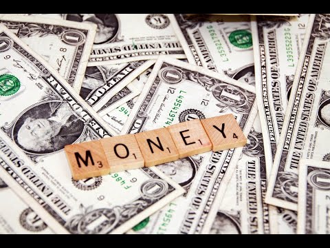 Which Horses Make The Most Money In Zed Run? A beginner's guide to U