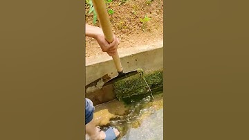 cool skill for cleaning moss in irrigation channels #shorts