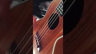 Boywithuke - Profound (old Hazel eyes) Ukulele cover #ukulelecover #boywithuke
