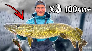 MYTHBUSTING: Will It Bite Better In The Rain?! (CRAZY FISHING) | Team Galant