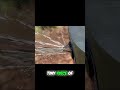 Sprinkler System Bug? Hope for a Fix!