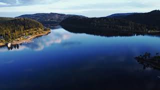 angeln am Schluchsee 🎣 (Schwarzwald 🌲)