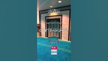 ماتيسر من سورة المزمل ب #تلاوة_خاشعة #آيات #قران_كريم #سورة_المزمل #اكسبلور
