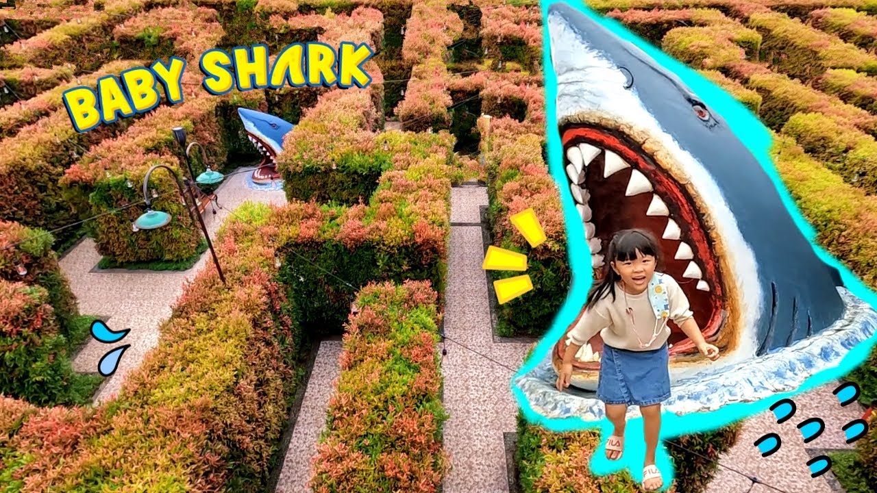 MAIN PETAK UMPET DI LABIRIN BABY SHARK | Taman Bermain Anak
