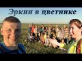 Дикий лук. Эркин + 30 девушек. Туристы Якутии.