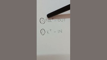 Super Trick for neural control and coordination| Nerve impulse|Neet 2022|crack neet 2022