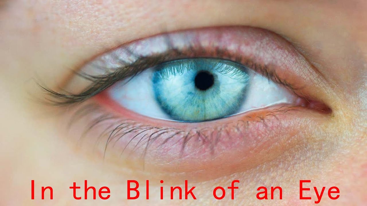In the Blink of an Eye How Vision Kick-Started the Big Bang of Evolution  Andrew Parker  Deep Dive