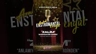 Zalim - Anlamıyorsun gönül derdinden -ESENGÜL  (Enstrümantal cover)