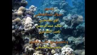 Leith Island Diving Trip