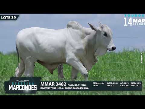 LOTE 39   MMAR 3482