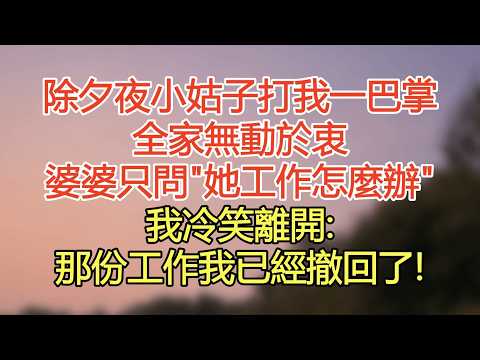 除夕夜小姑子打我一巴掌，全家無動於衷，婆婆只問"她工作怎麼辦“，我冷笑離開:那份工作我已經撤回了！