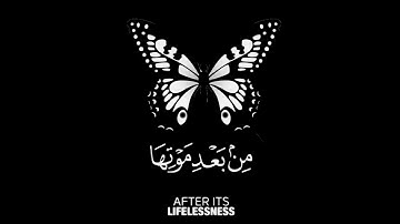 ولئن سألتهم من نزل من السماء ماء❤|تلاوة خاشعة بصوت عبد الرحمن مسعد😌❤|حالات واتس اب قرآن_Quran status