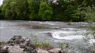 Le Gave d'Oloron à Sauveterre de Béarn en avril 2018