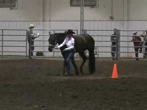 Horse showmanship is an in-hand class which demonstrate the ground manners of a horse. This video shows judge's comments after the Elementary Division of the 4-H Horse Western Showmanship held at the 2008 Lancaster County Fair. The grand champion performs the pattern as the judge discusses the pattern, talks about the details, and what we need to be striving for in showmanship. The judge states the winner "...went the extra degree of difficulty to show me her horse to the best of its ability."