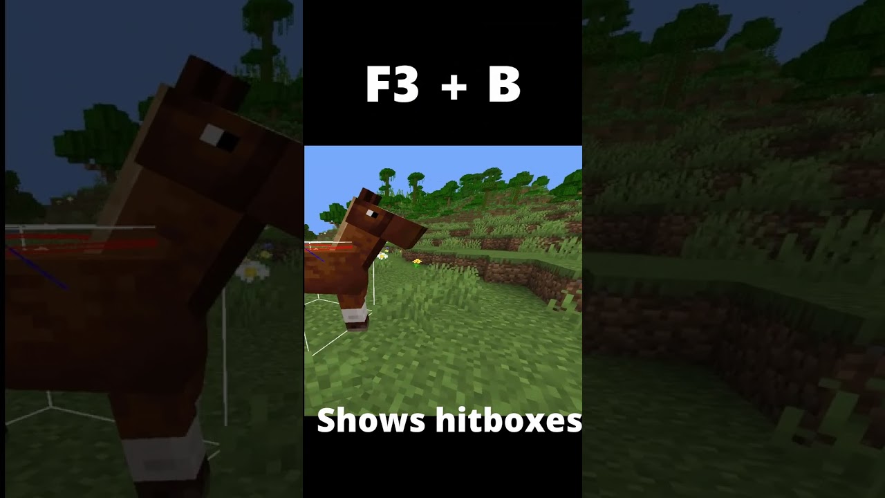 F3 Combos You Need To Know