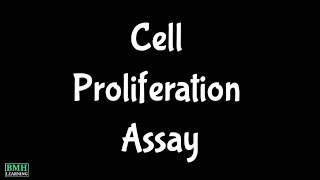 Cell Proliferation Assay | DNA Synthesis Proliferation Assay | Luminiscent Cell Viability Assay |