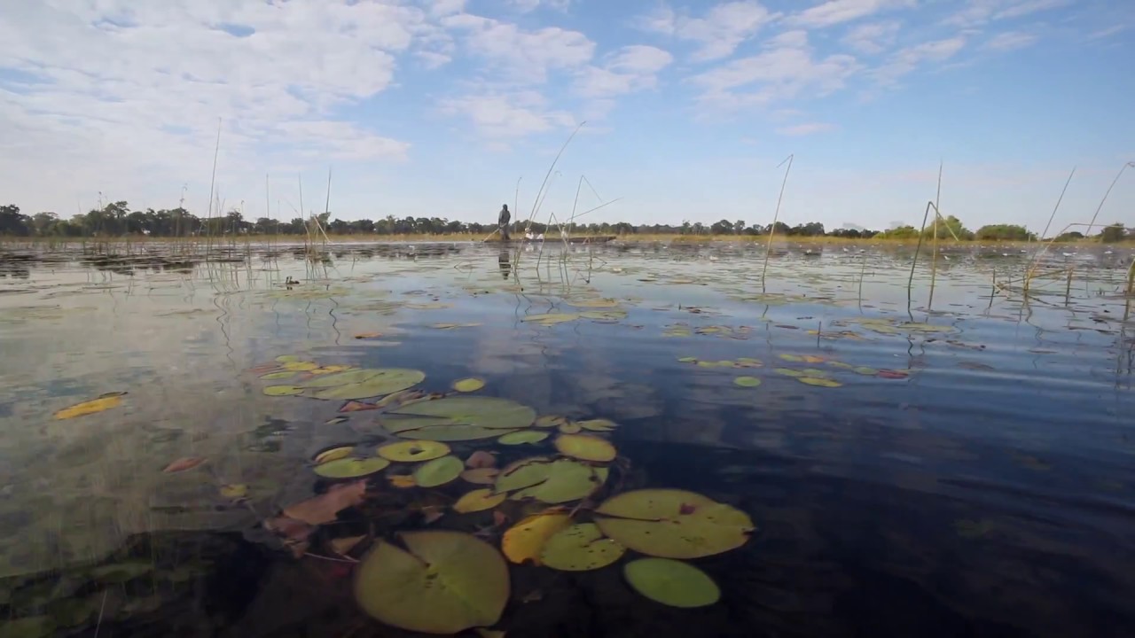 Pom Pom Camp Okavango Delta