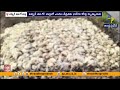 Heat Wave Ravages Poultry Industry | Over 4.18 Lakh Chickens Die