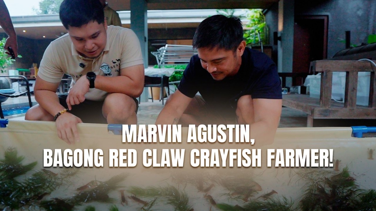 Marvin Agustin, PINAKA bagong Red Claw Crayfish(Taguro Line) Farmer!!!