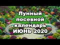 ЛУННЫЙ ПОСЕВНОЙ КАЛЕНДАРЬ на ИЮНЬ 2020 года