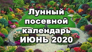 ЛУННЫЙ ПОСЕВНОЙ КАЛЕНДАРЬ на ИЮНЬ 2020 года