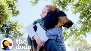 family makes hard decision rehome their dog then he finds
