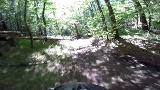 Vector Typhoon e-bike Forest run