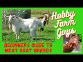 Beginners Guide to Meat Goat Breeds