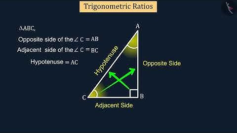 Trigonometric Ratios | Part 1/3 | English | Class 10