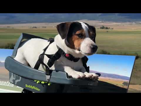 Woofbiking Westcliffe, Colorado Friday September 4, 2026