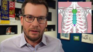 Exactly Like the Human Sternum Exactly Like the Human Sternum
