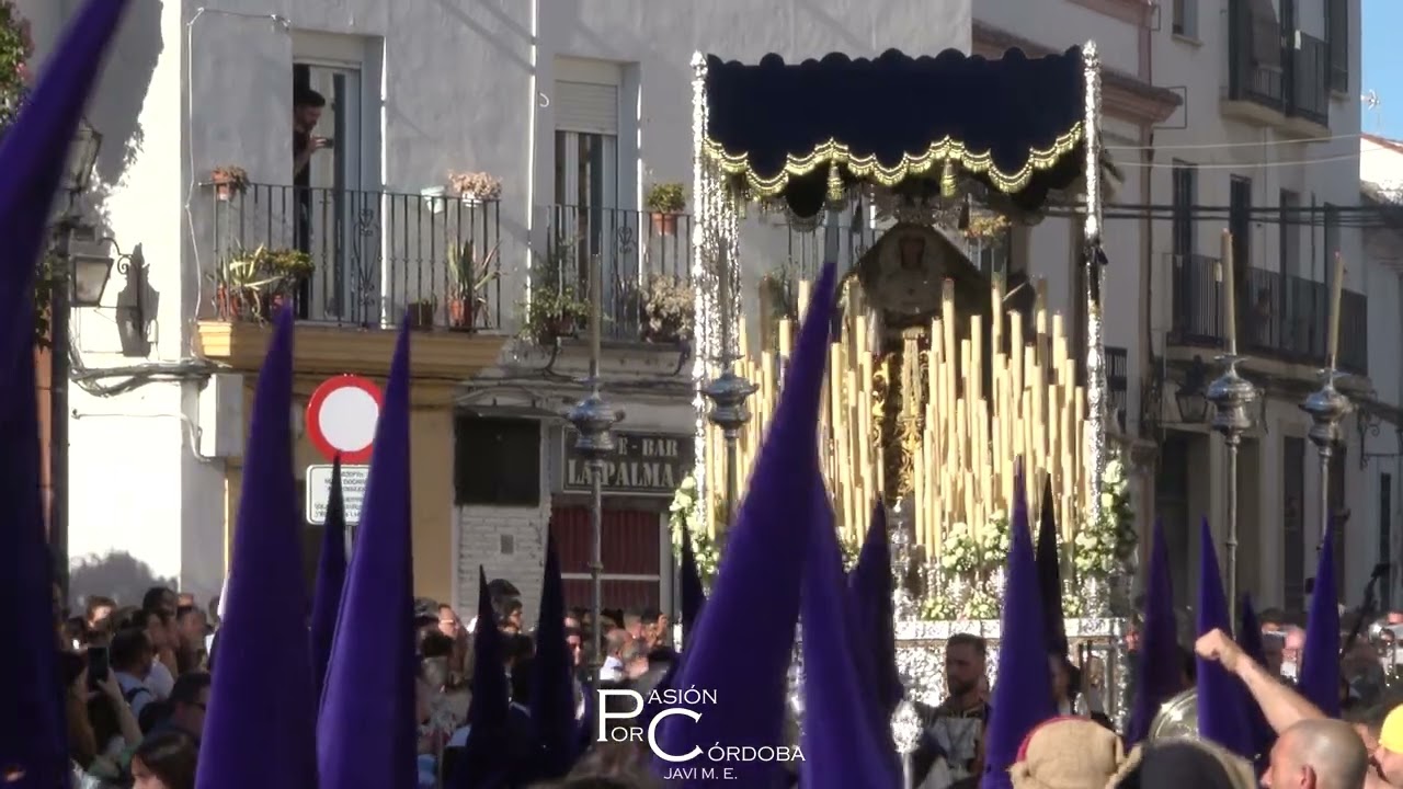 Hermandad del Rescatado de Córdoba | Domingo de Ramos 2023
