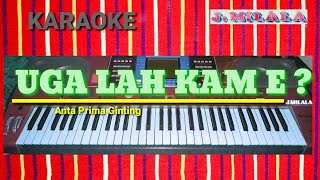 KARAOKE LAGU KARO | UGA LAH KAM E | musik dio tarigan