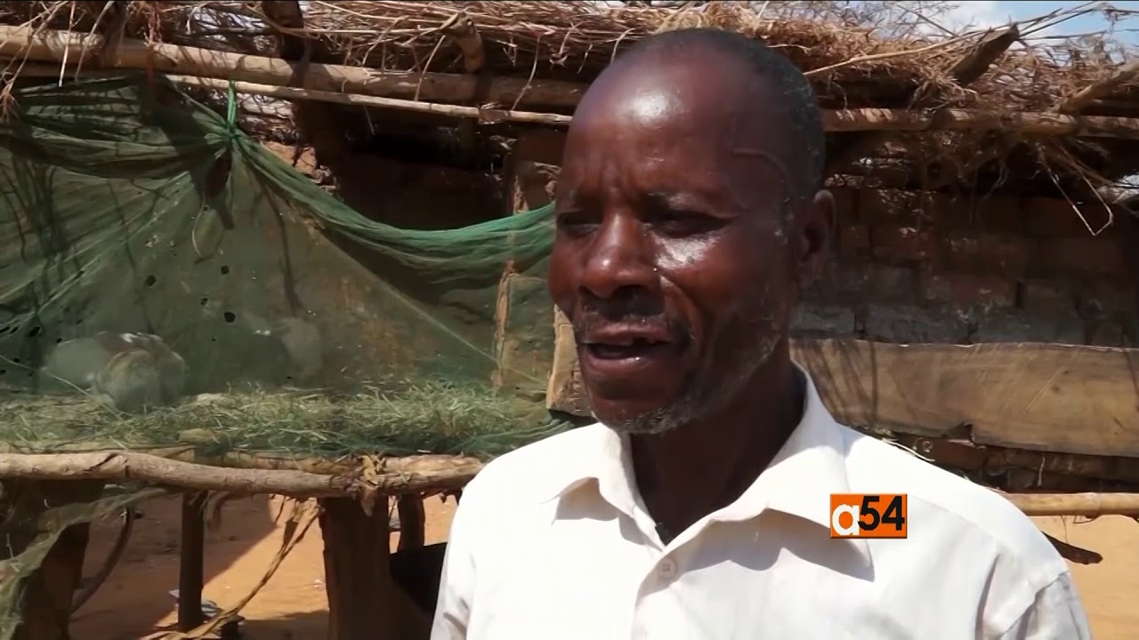 Malawi Drones Agriculture
