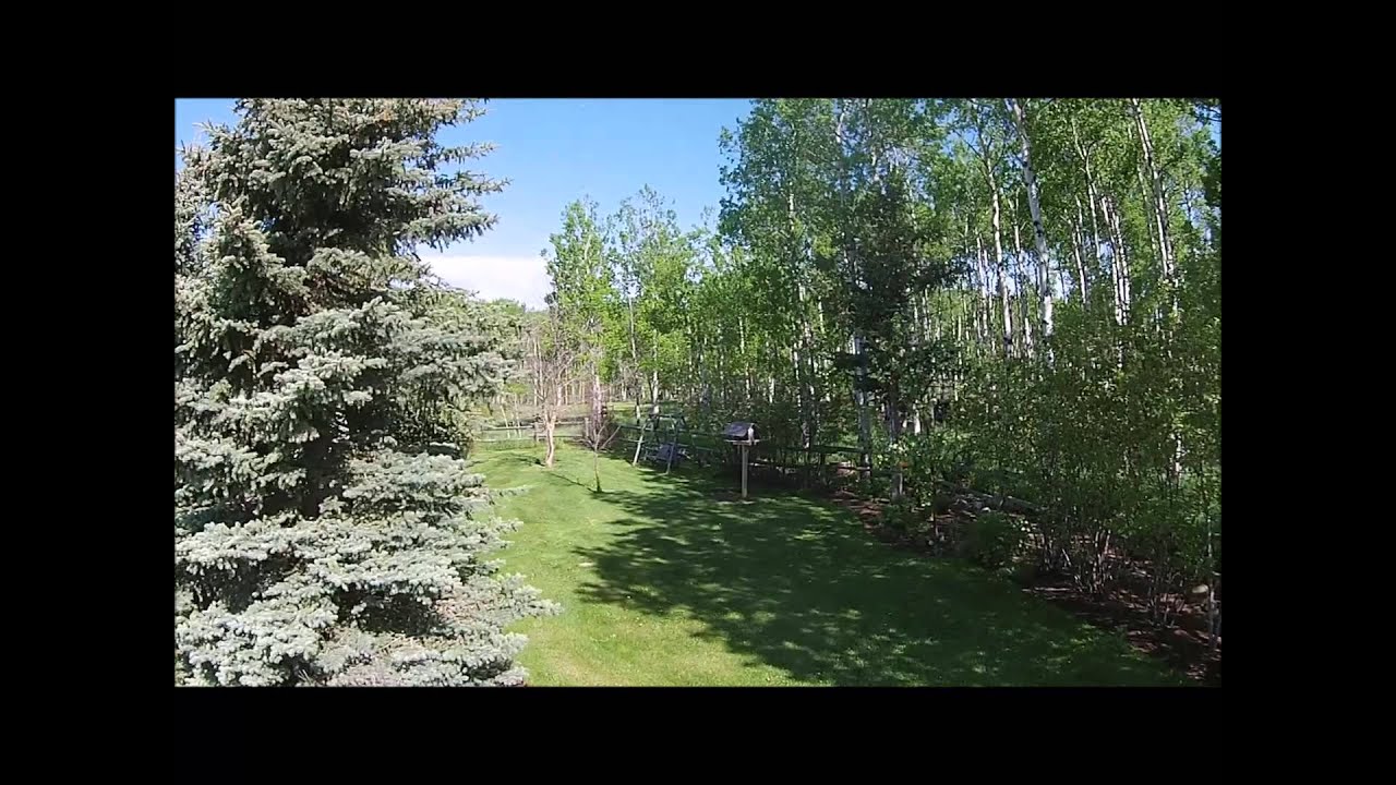 Acreage West of Millarville