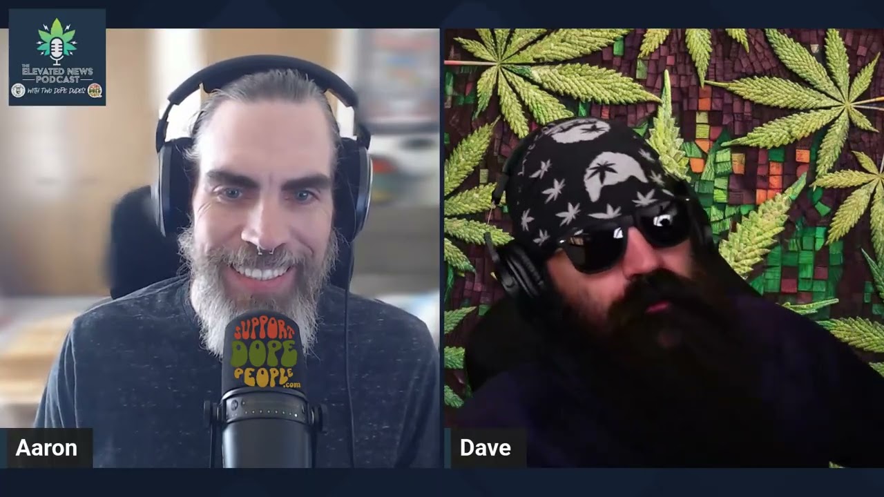 Chicago's Hemp Ban Could Change Everything | Elevated News ep 120