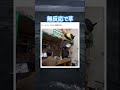 反応からして日常茶飯事なんだろうなw #shorts#tiktok#Twitter#おもしろ#お笑い#おすすめ#ルームメイト #面白い#おもしろ動画#爆笑#バズれ
