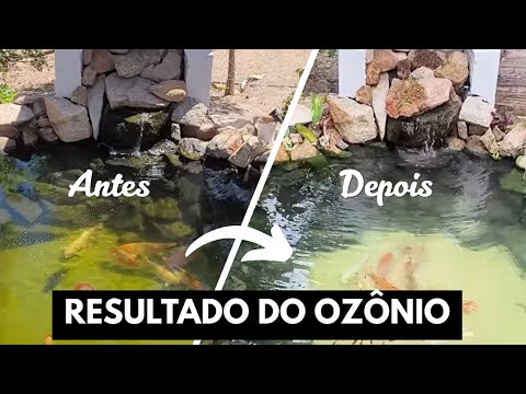 Before and After Installation of the Ozonizer in the Ornamental Lake