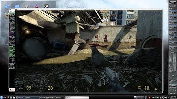 Half-Life 2 Running On Linux (Gentoo) With Steam (Native)