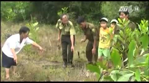 VTC14_Khánh Hòa tìm cách tiêu diệt heo rừng tấn công người