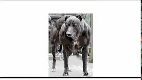 Stick Figures Without Brains 3