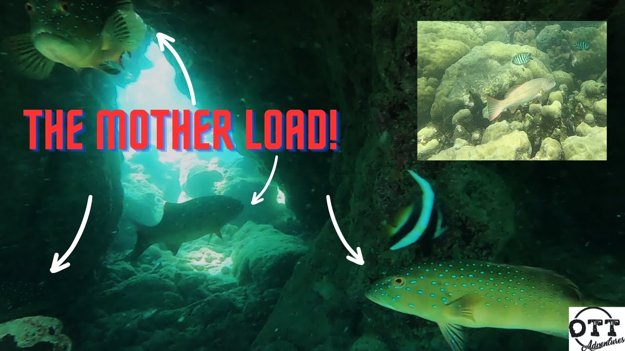 Dampier Archipelago Day out. Big Coral Trout, Blue Bone and testing out home made lures.