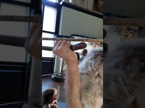 ٢ فيينا متحف التأريخ الطبيعي      2