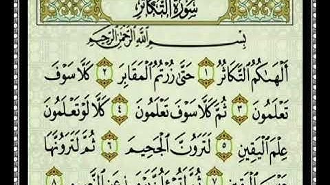 سورة التكاثر - سعد الغامدي / surat At-Takathur -saad el ghamidi