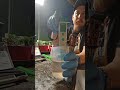 LIVE SOP: Pheno House Nutrient Mixing & Digital Calibration